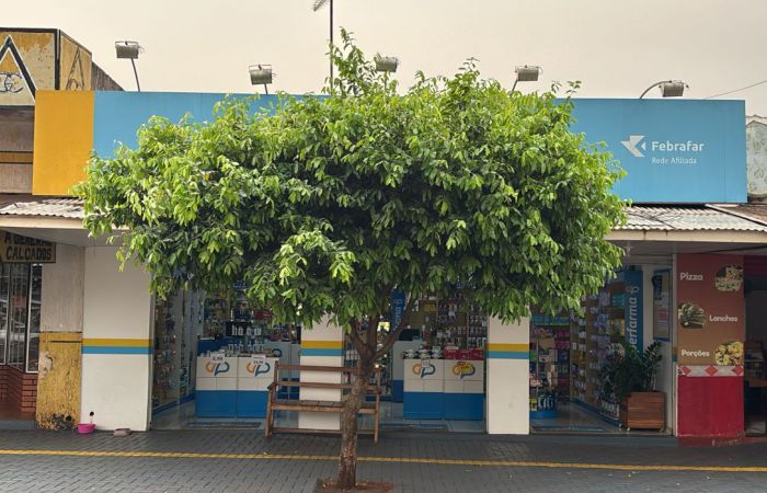 Coperfarma Jesuítas